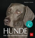 Hunde Hunde