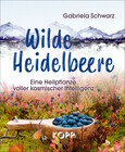 Wilde Heidelbeere Wilde Heidelbeere