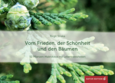 Tischaufsteller - Vom Frieden, der Schönheit und den Bäumen Tischaufsteller - Vom Frieden, der Schönheit und den Bäumen